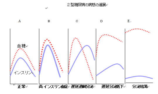 2型糖尿病の病態の進展の図